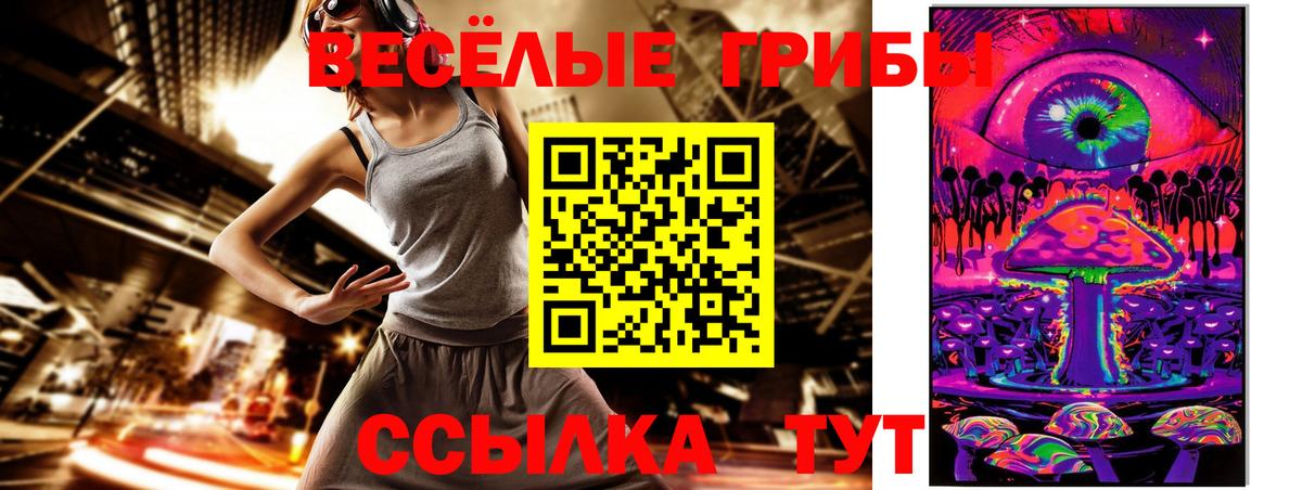 Псилоцибиновые грибы Psilocybine cubensis Ивантеевка