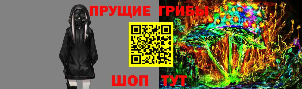 Галлюциногенные грибы Psilocybine cubensis  Галлюциногенные грибы MAGIC MUSHROOMS  Вход с VPN  Ивантеевка 